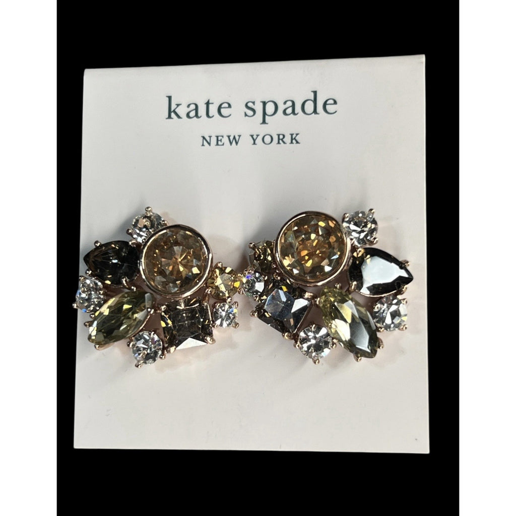 Kate Spade New York Reflecting Pool Earrings New