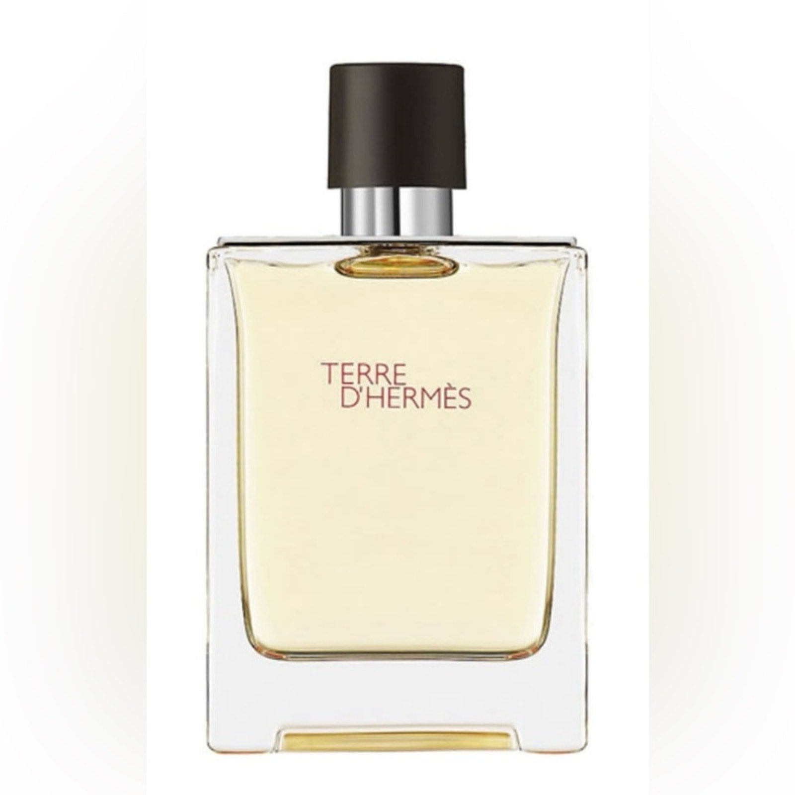 Terre d'Hermès E D T Men’s 3.4 oz