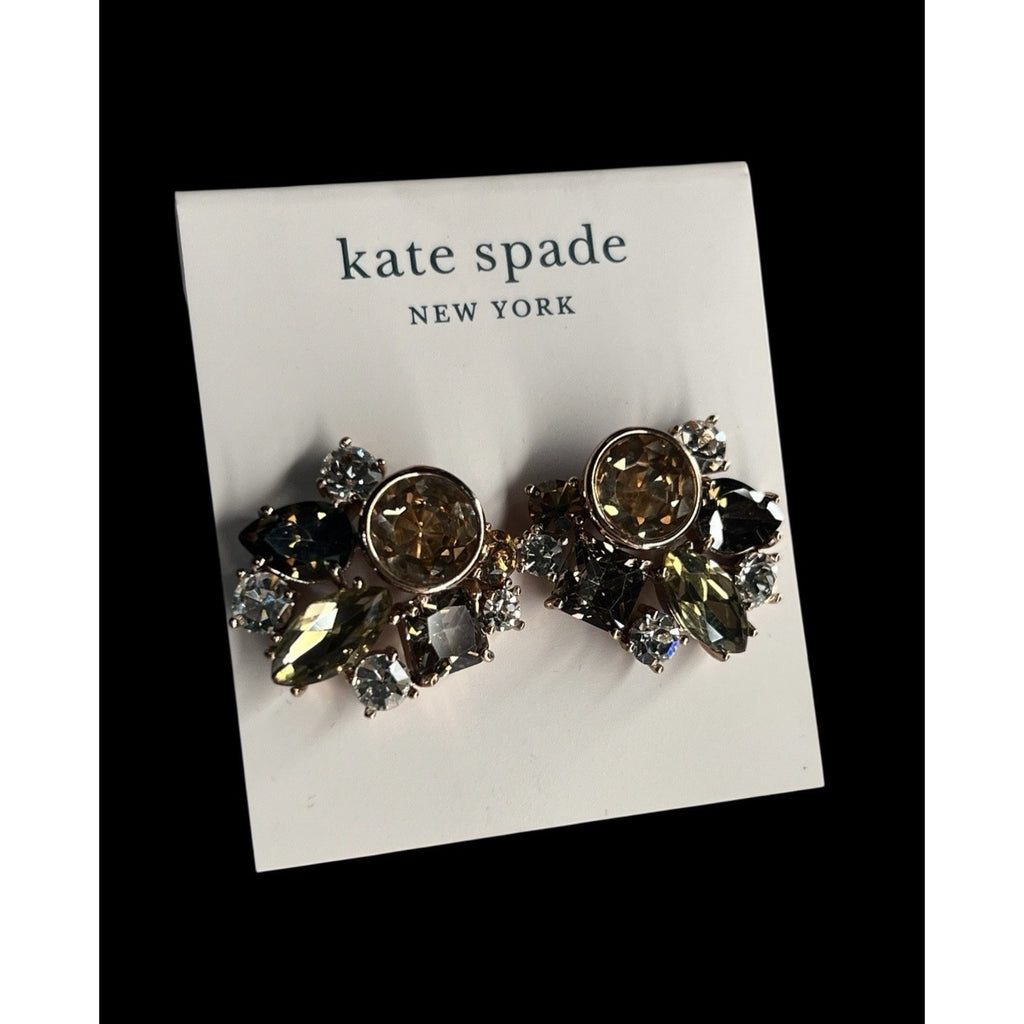 Kate Spade New York Reflecting Pool Earrings New