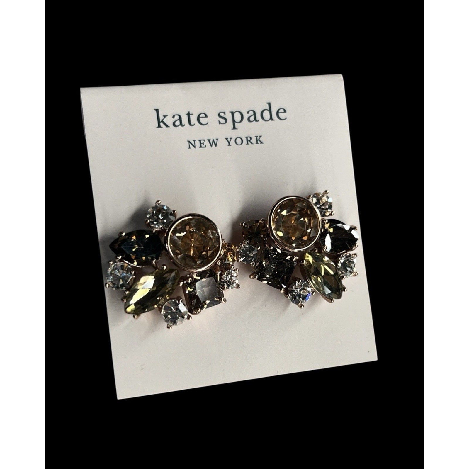 Kate Spade New York Reflecting Pool Earrings New