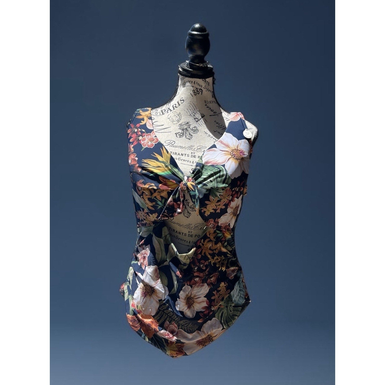 Arte Sands Into The Saltu Cezanne D/DD Cup Underwire One Piece Swimsuit SZ 16
