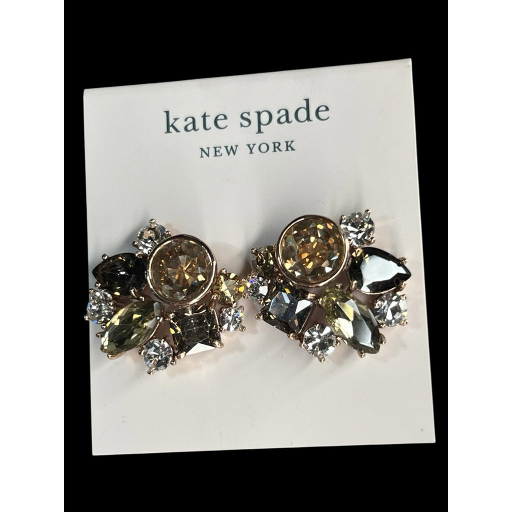 Kate Spade New York Reflecting Pool Earrings New