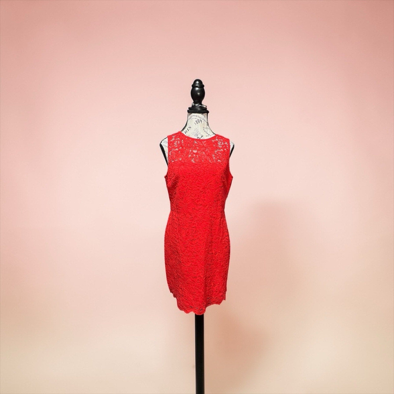 Donna Morgan Body Contour Orange Lace Dress Women’s Size 10 NWT