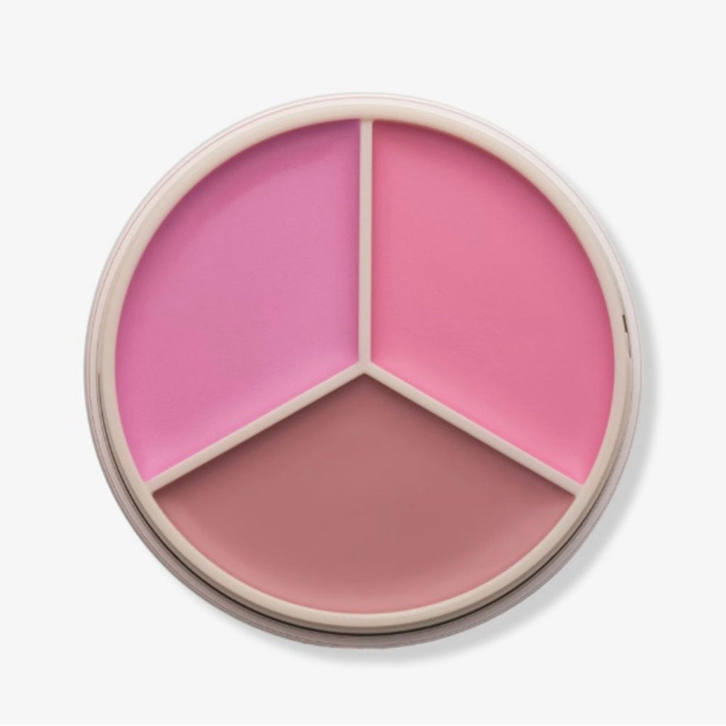 Anastasia Blush Trio in Pink cream blush NIB MSRP $38