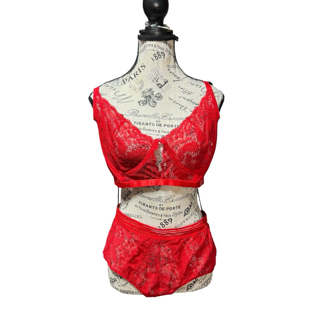Women's Plus Size Stretch Lace Bustier and Brief Lingerie Set - Red Size 3X