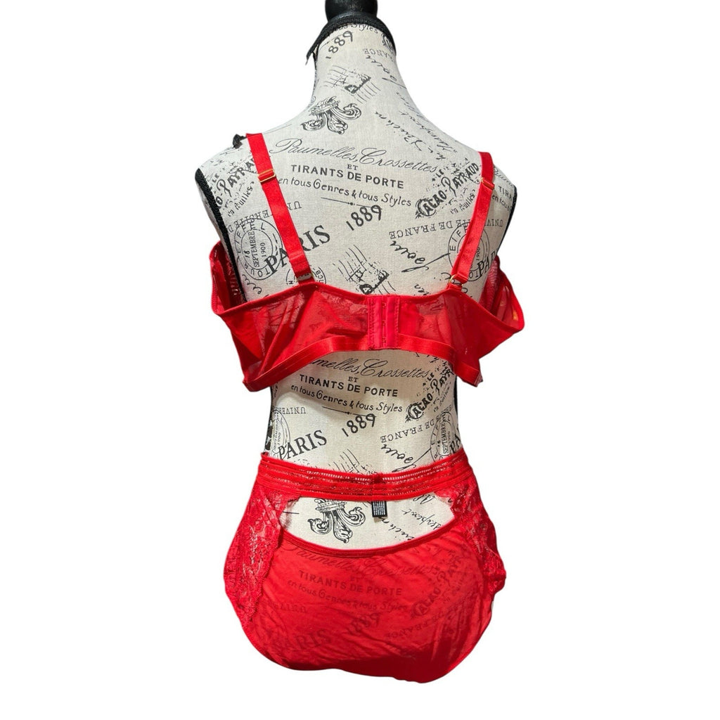 Women's Plus Size Stretch Lace Bustier and Brief Lingerie Set - Red Size 3X