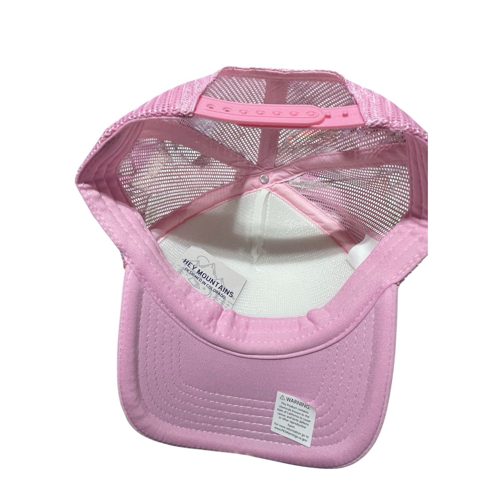 Lake Tahoe Baby Pink Mesh Snapback Hat New