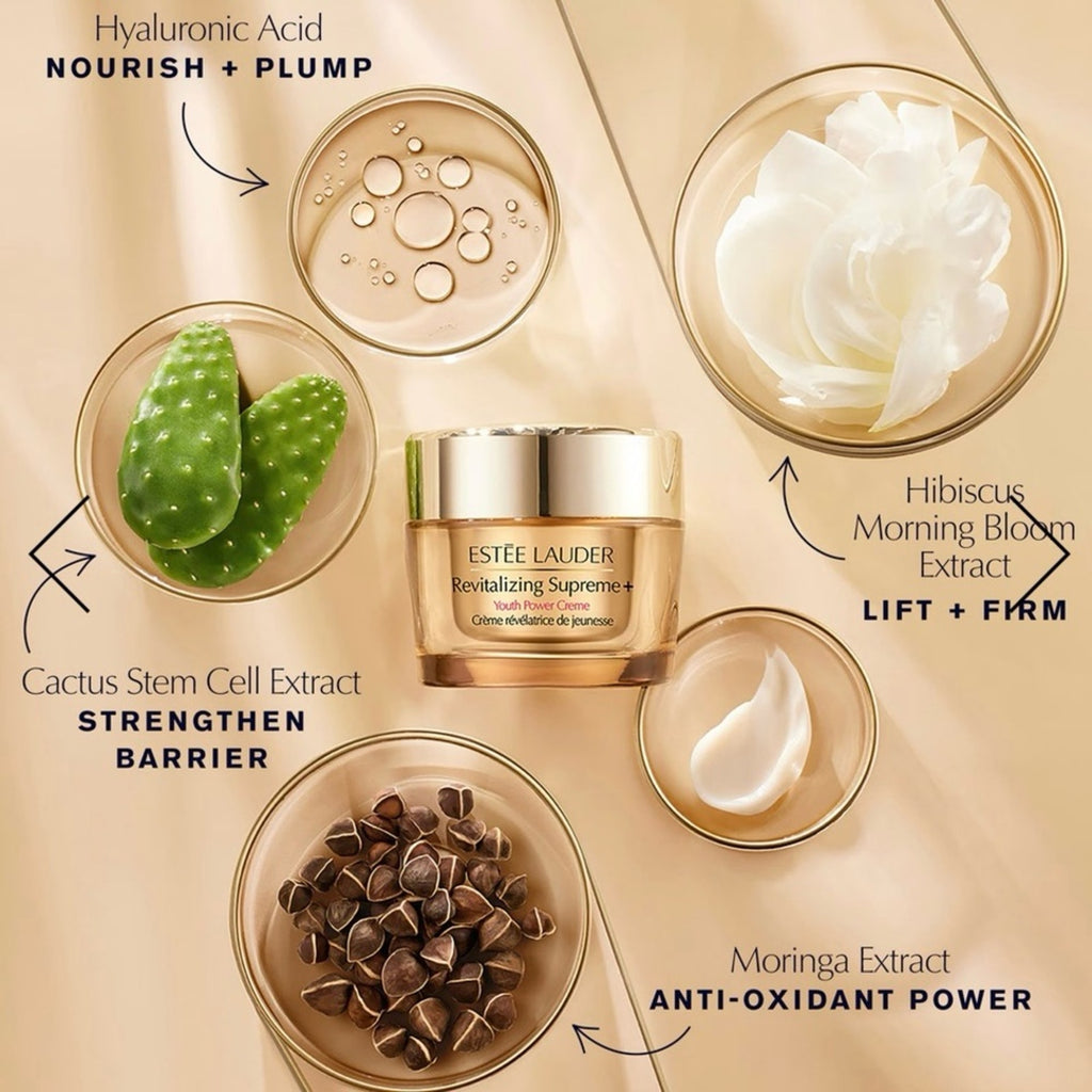 ESTEE LAUDER REVITALIZING SUPREME+ YOUTH POWER CREME 2.5 OZ